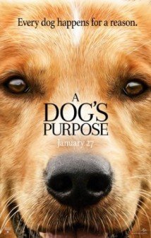 Download Quatro Vidas de um Cachorro Dublado Torrent Baixar Quatro Vidas de um Cachorro Dublado