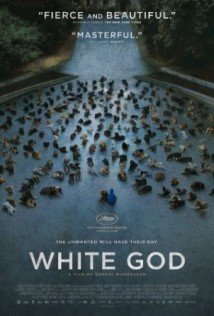 Download White God Dublado Torrent Baixar White God Dublado