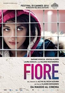 Download Fiore Dublado Torrent Baixar Fiore Dublado