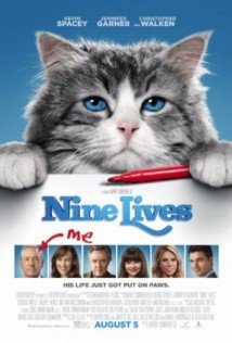 Download Virei um Gato Dublado Torrent Baixar Virei um Gato Dublado