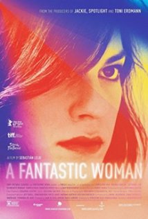 Download Uma Mulher Fantástica Dublado Torrent Baixar Uma Mulher Fantástica Dublado