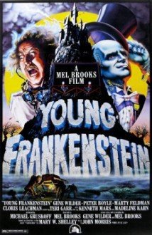 Download O Jovem Frankenstein Dublado Torrent Baixar O Jovem Frankenstein Dublado